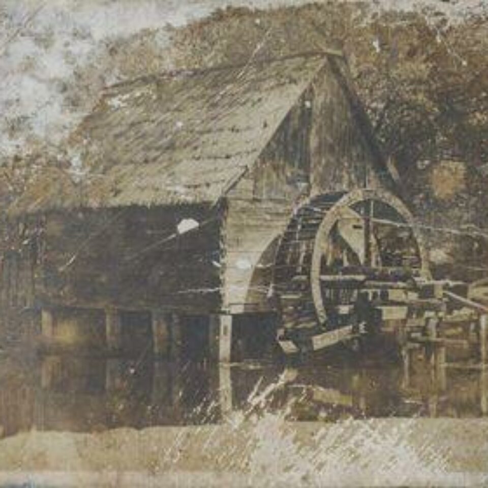 557600458_1123761963266609_8322601646306531383_n